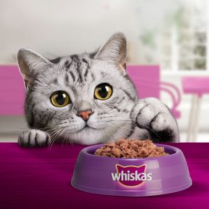 Pate Whiskas kích thích vị giác của mèo