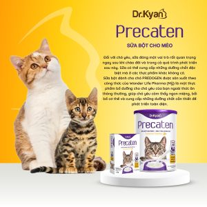 Sữa bột cho mèo DR. KYAN Precaten